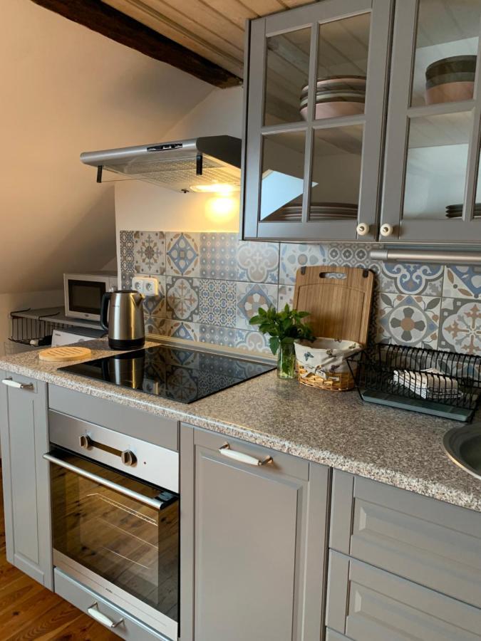 Apartman Jachymov Klinovec Εξωτερικό φωτογραφία
